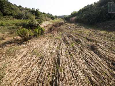 In questo punto termina il parco visitabile, visto che una rete impedisce di proseguire. Ma non ci perdiamo d�animo e riusciamo ad aggirare la recinzione, inoltrandoci nel letto dell�antico Tiflis che mostra ancora i segni degli ultimi acquazzoni: strati di fango solidificato e piante piegate
